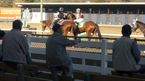 Hastings Racecourse owners’ recently released financials show a drop in racetrack revenues. (Photo: Maryse Zeidler)