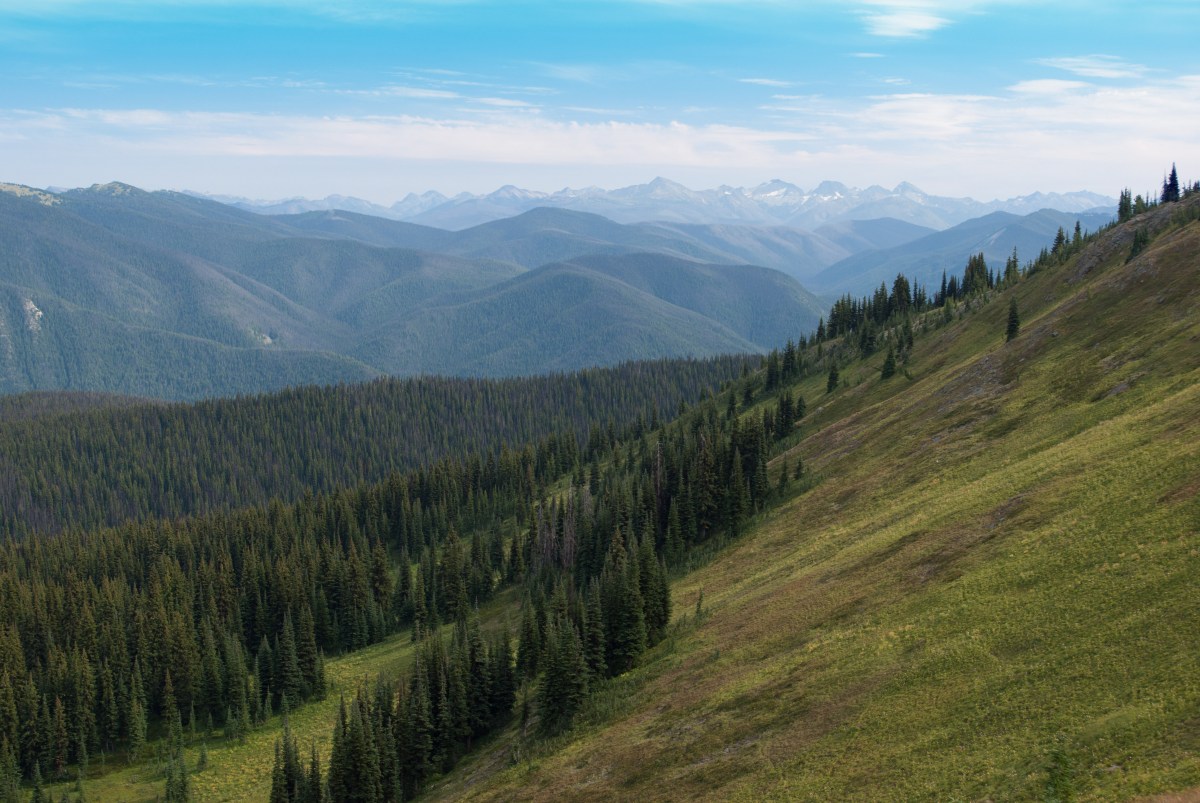 View from the top of the Heather Trail, Manning Park